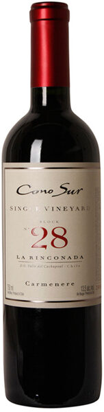 Cono Sur Single Vineyard Block Nr 28 La Rinconada 2021